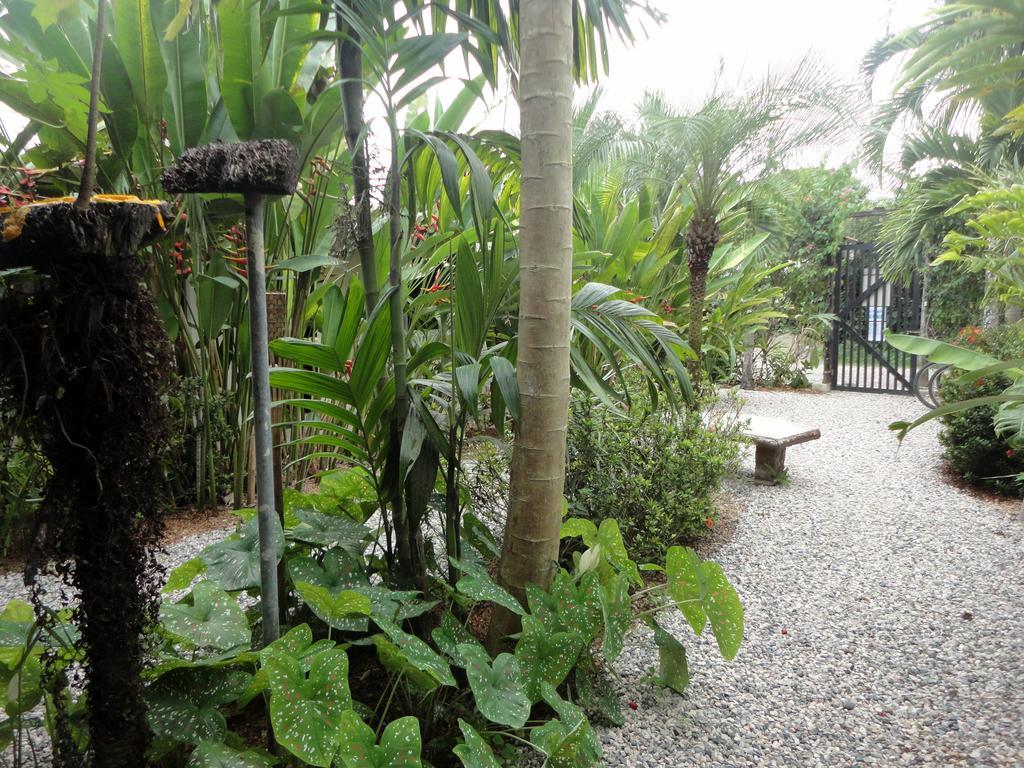 Cabinas Tropicales Puerto Jimenez Exterior photo