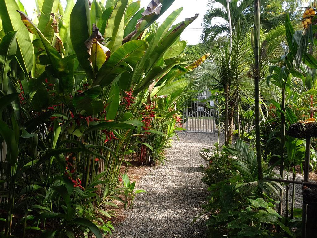 Cabinas Tropicales Puerto Jimenez Exterior photo