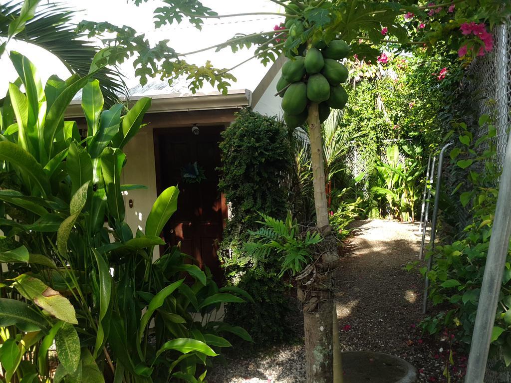Cabinas Tropicales Puerto Jimenez Exterior photo